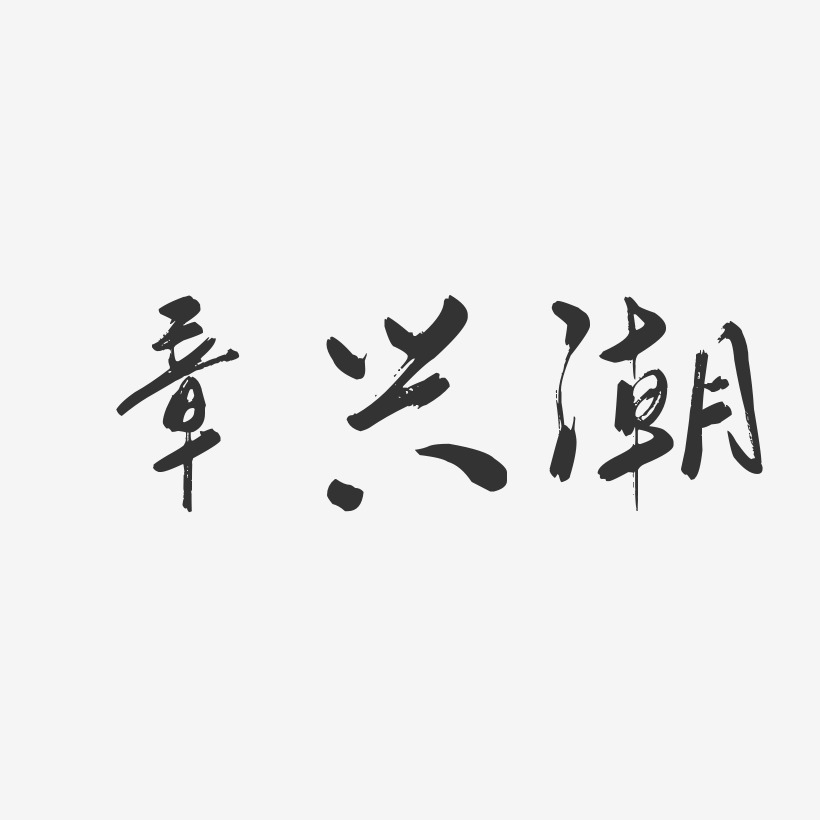 章兴潮-行云飞白字体签名设计