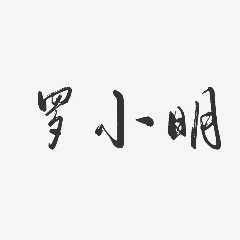 罗小明-行云飞白字体签名设计