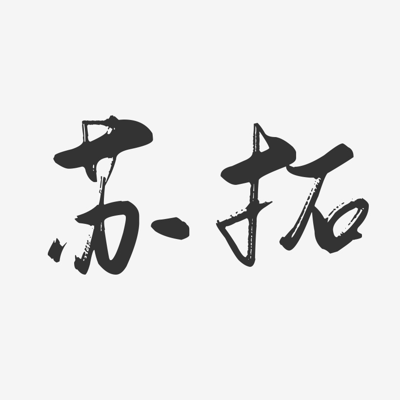 苏拓-行云飞白字体签名设计
