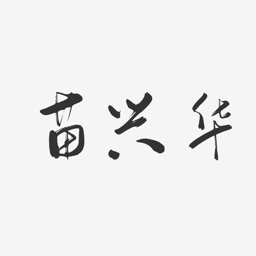 苗兴华-行云飞白字体签名设计