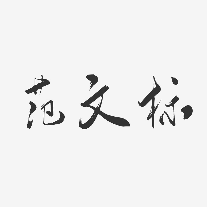 范文标行云飞白艺术字签名-范文标行云飞白艺术字签名图片下载-字魂网