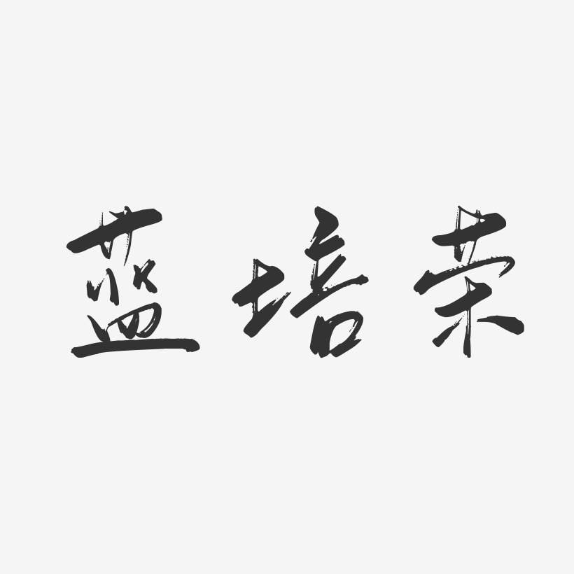 蓝培荣-行云飞白字体签名设计