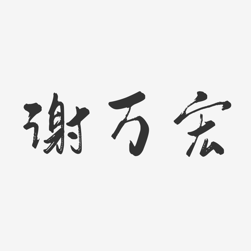 谢万宏-行云飞白字体签名设计