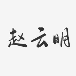 赵云明-行云飞白字体签名设计