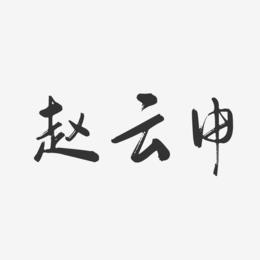 赵云申-行云飞白字体签名设计