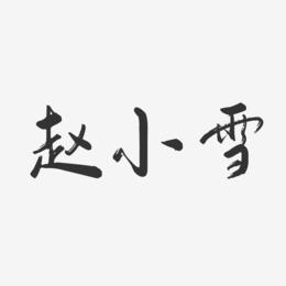 赵小雪-行云飞白字体签名设计