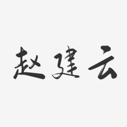 赵建云-行云飞白字体签名设计