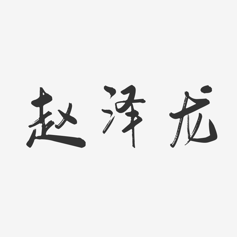 赵泽龙-行云飞白字体签名设计