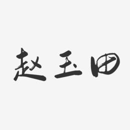 赵玉田-行云飞白字体签名设计