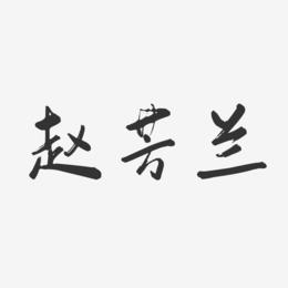 赵芳兰-行云飞白字体签名设计