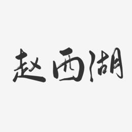 赵西湖-行云飞白字体签名设计