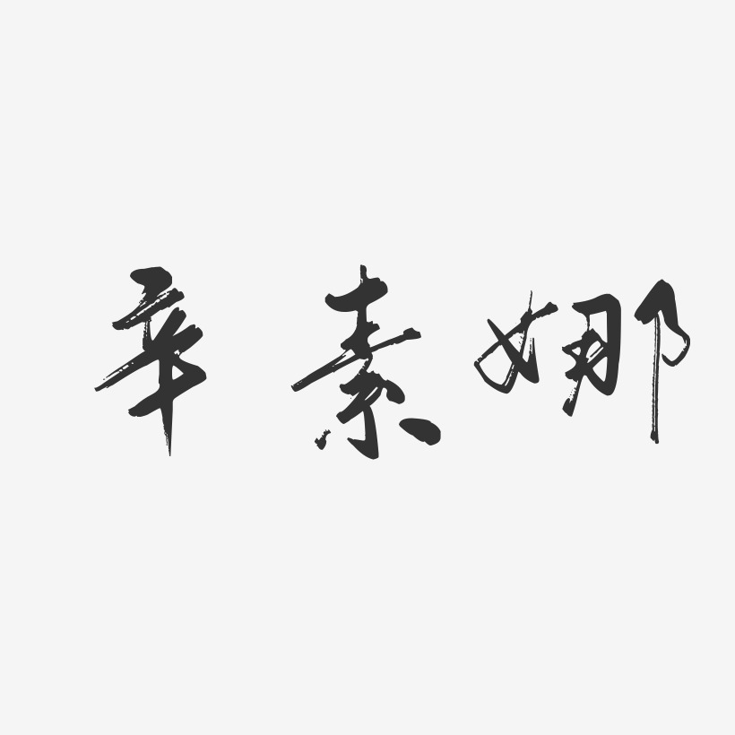 辛素娜-行云飞白字体签名设计