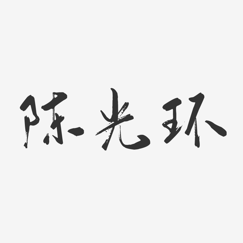 陈光环-行云飞白字体签名设计