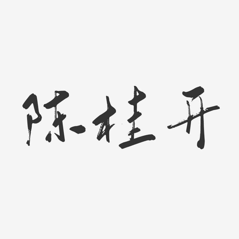 陈桂开-行云飞白字体签名设计