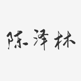 陈泽林-行云飞白字体签名设计