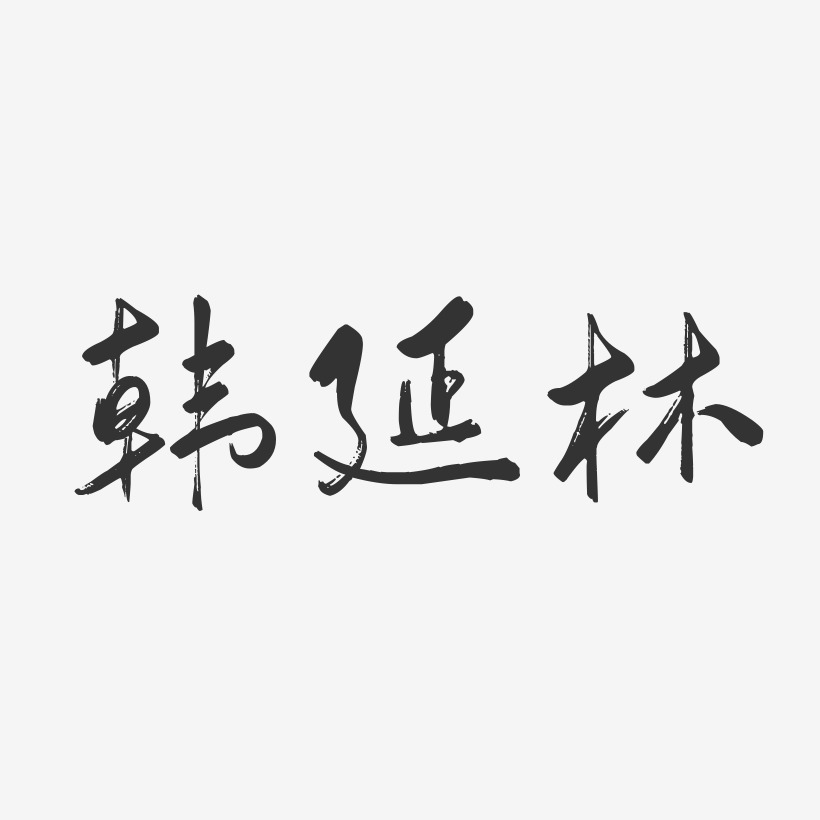韩延林-行云飞白字体签名设计
