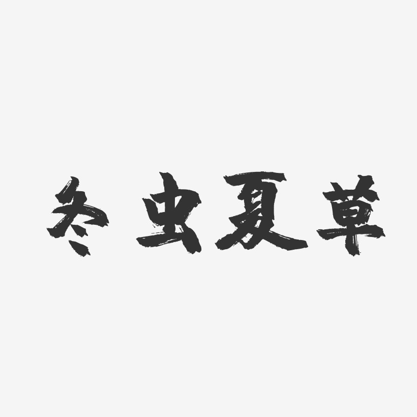 冬虫夏草-镇魂手书字体设计