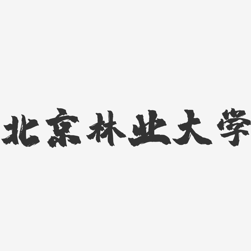 北京林业大学-镇魂手书字体设计