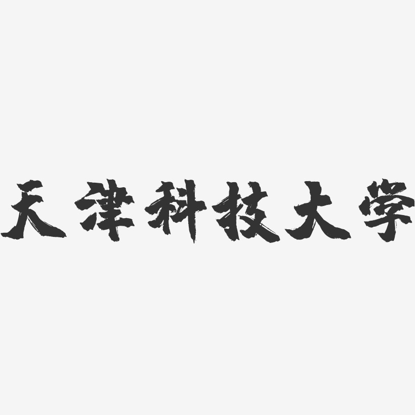 天津科技大学-镇魂手书字体设计
