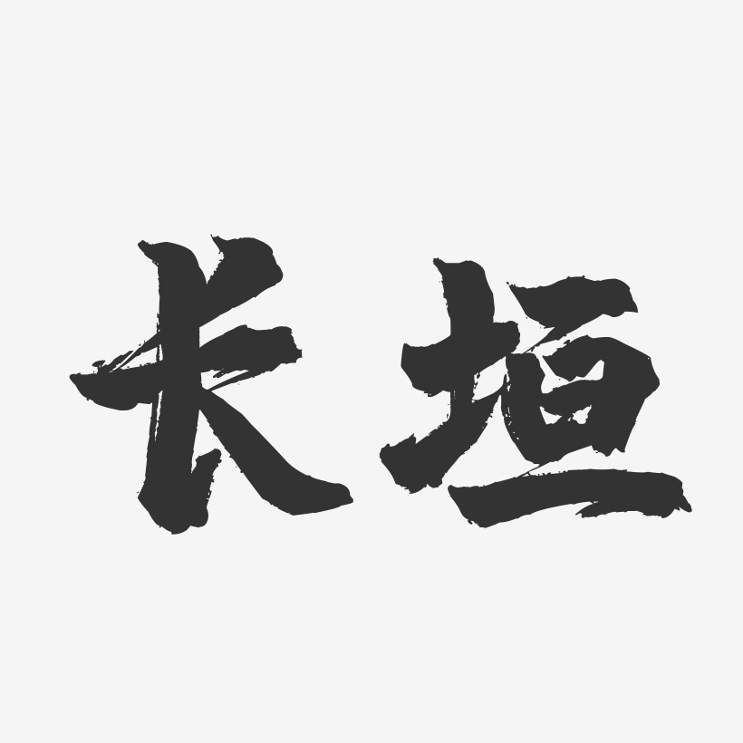 长垣-镇魂手书字体设计