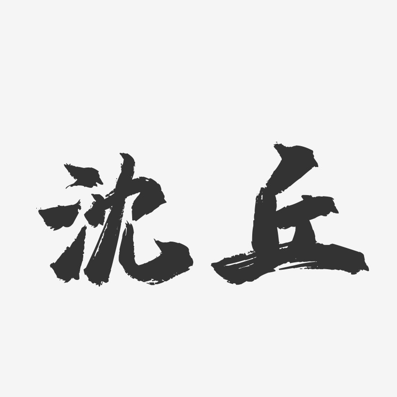 沈丘-镇魂手书字体设计