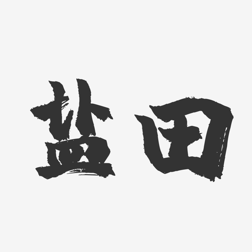 盐田-镇魂手书字体设计
