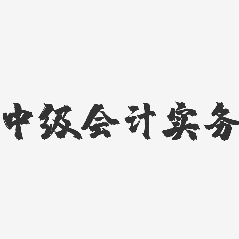 中级会计实务艺术字