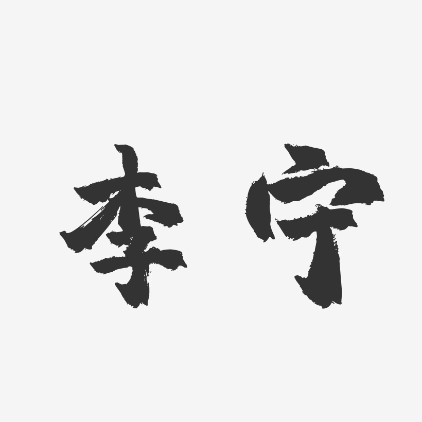 李宁-镇魂手书字体签名设计