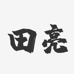 田亮-镇魂手书字体签名设计