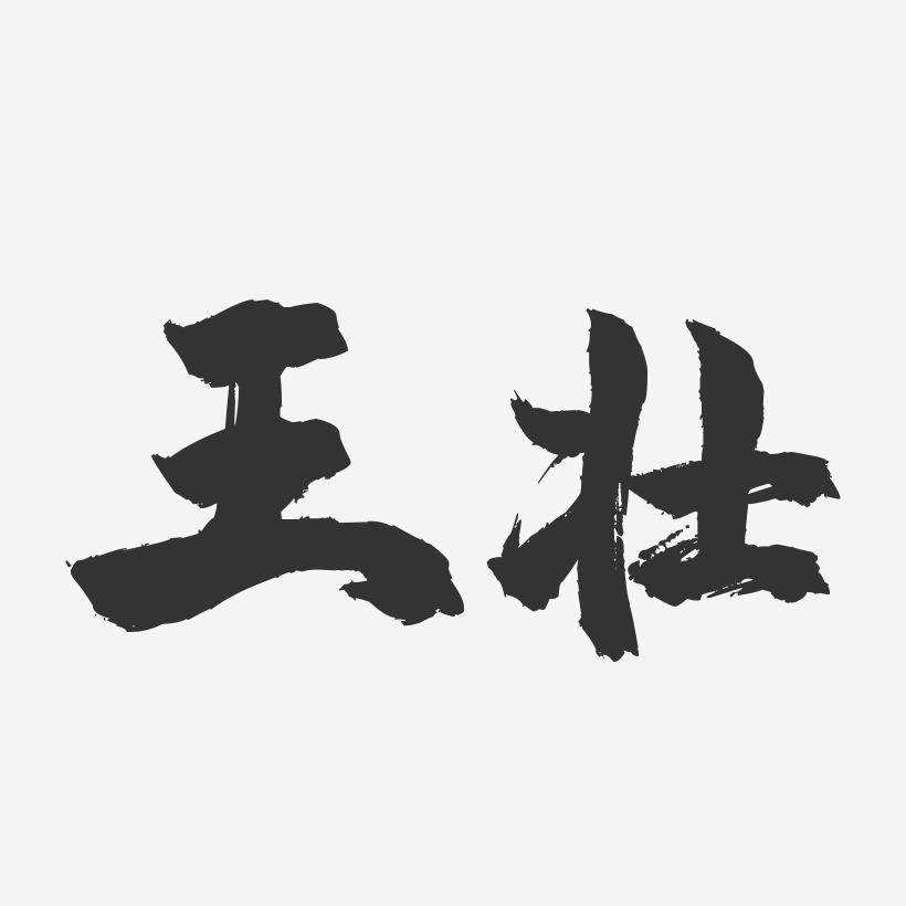 王壮-镇魂手书字体签名设计