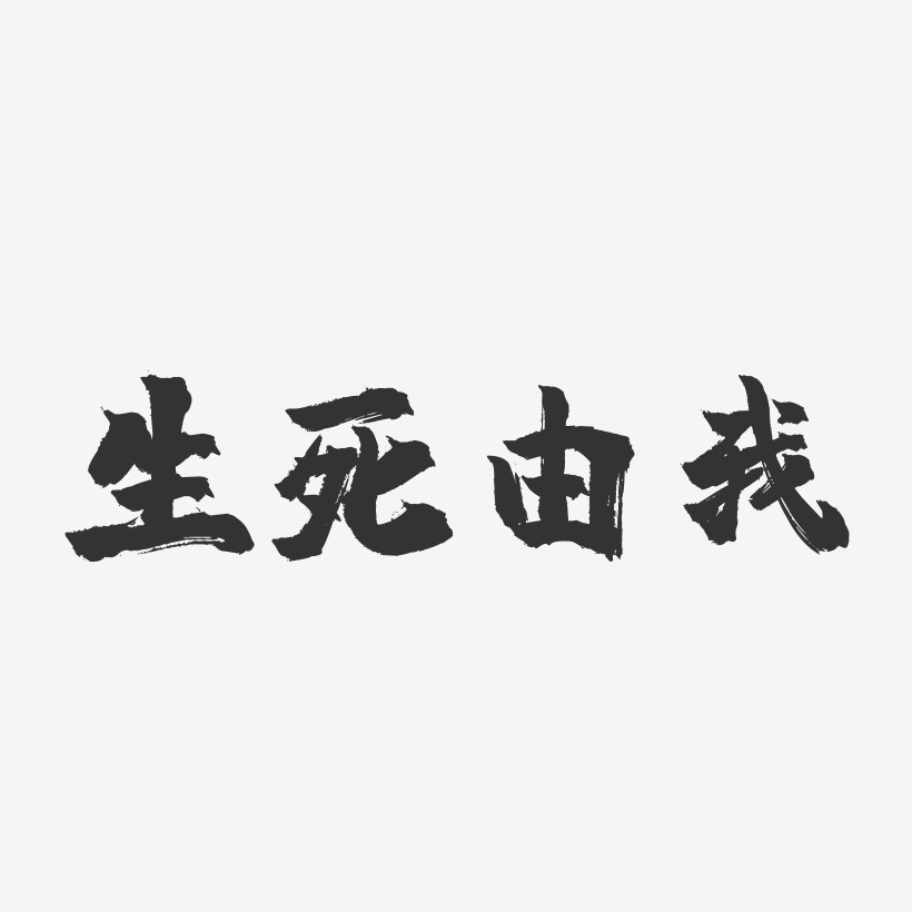 生死由我-镇魂手书文字设计