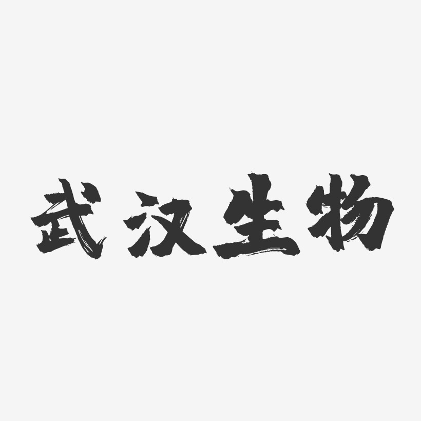 武汉生物-镇魂手书艺术字体设计