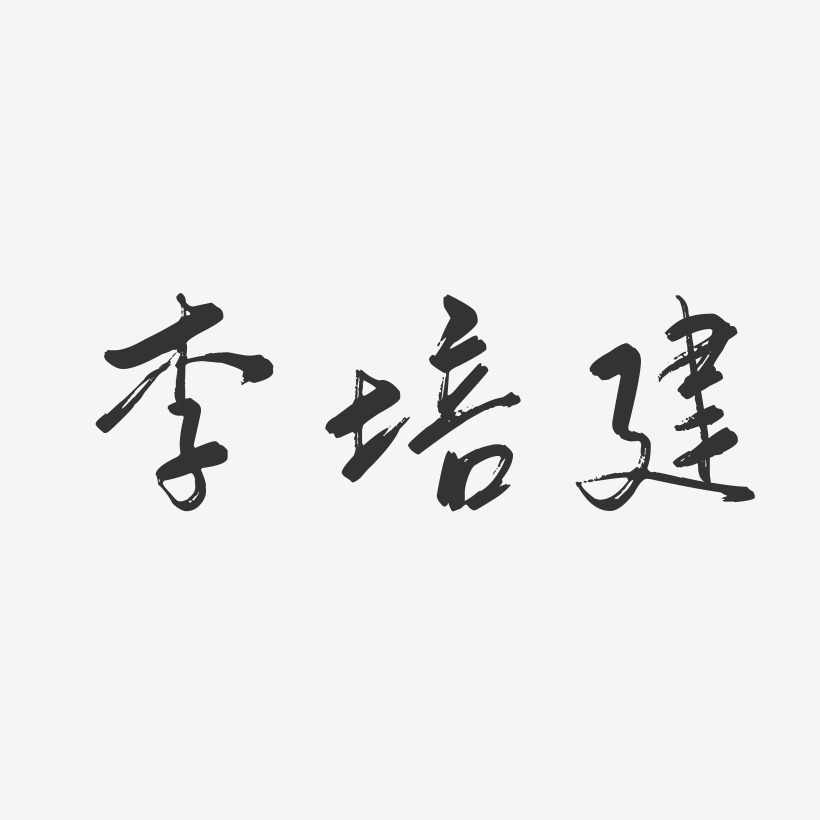 李培建-行云飞白字体签名设计