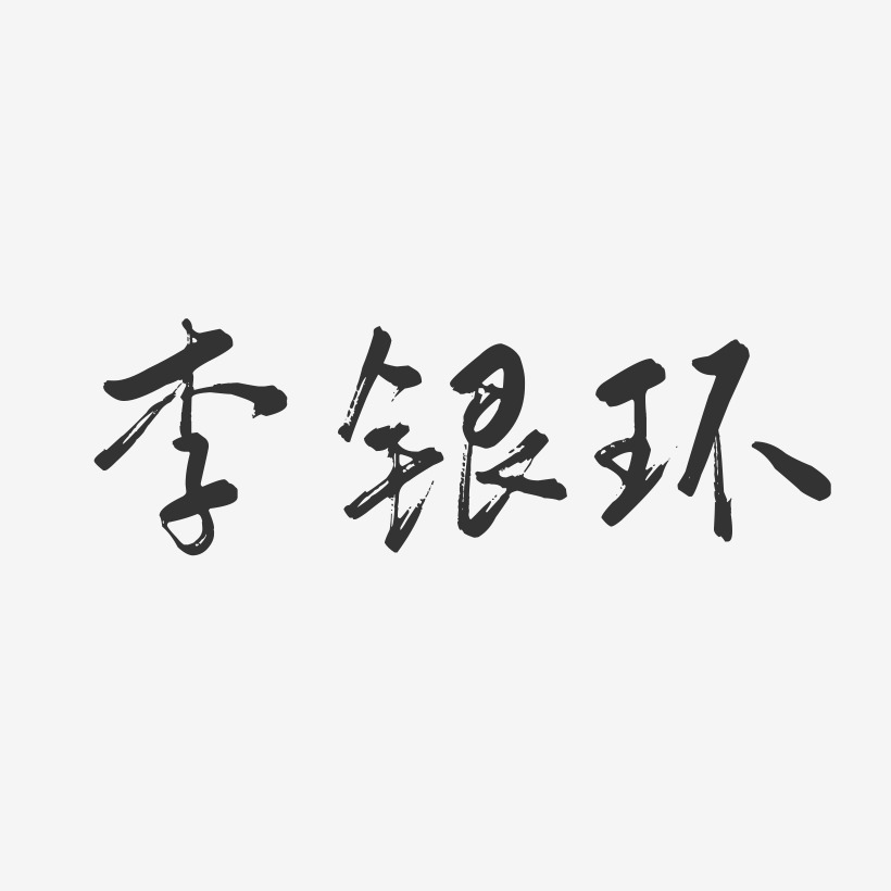 李银环-行云飞白字体签名设计