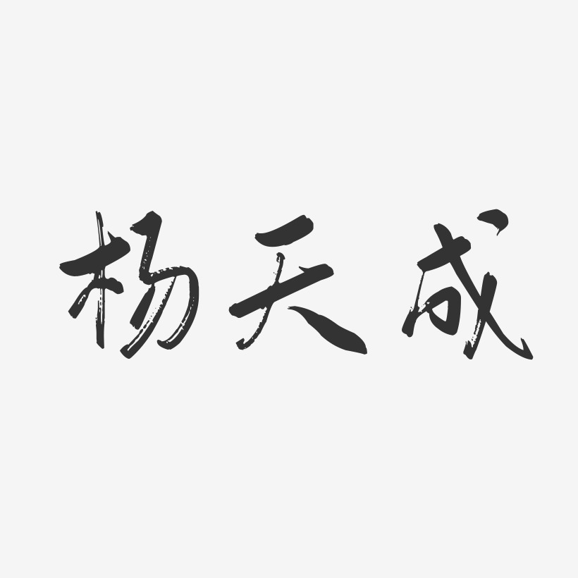 杨天成-行云飞白字体签名设计