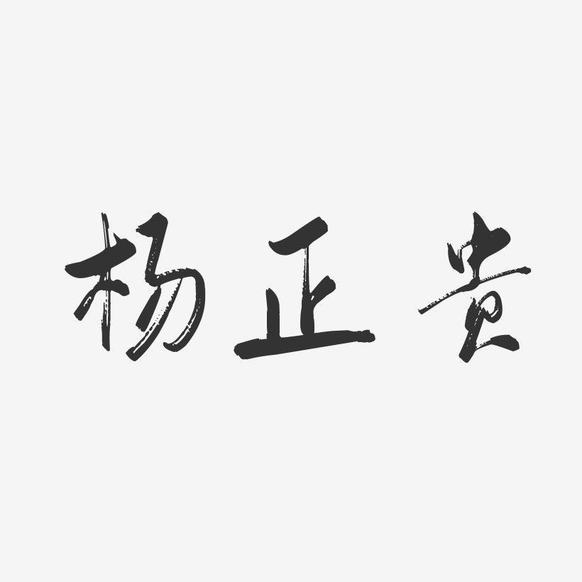 杨正贵-行云飞白字体签名设计