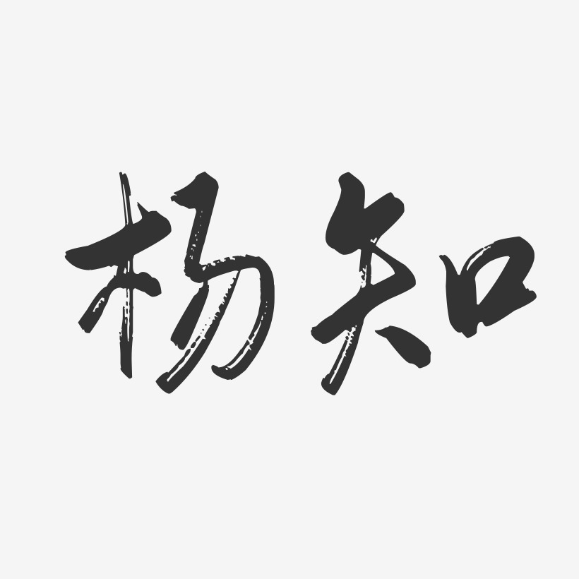 杨知-行云飞白字体签名设计