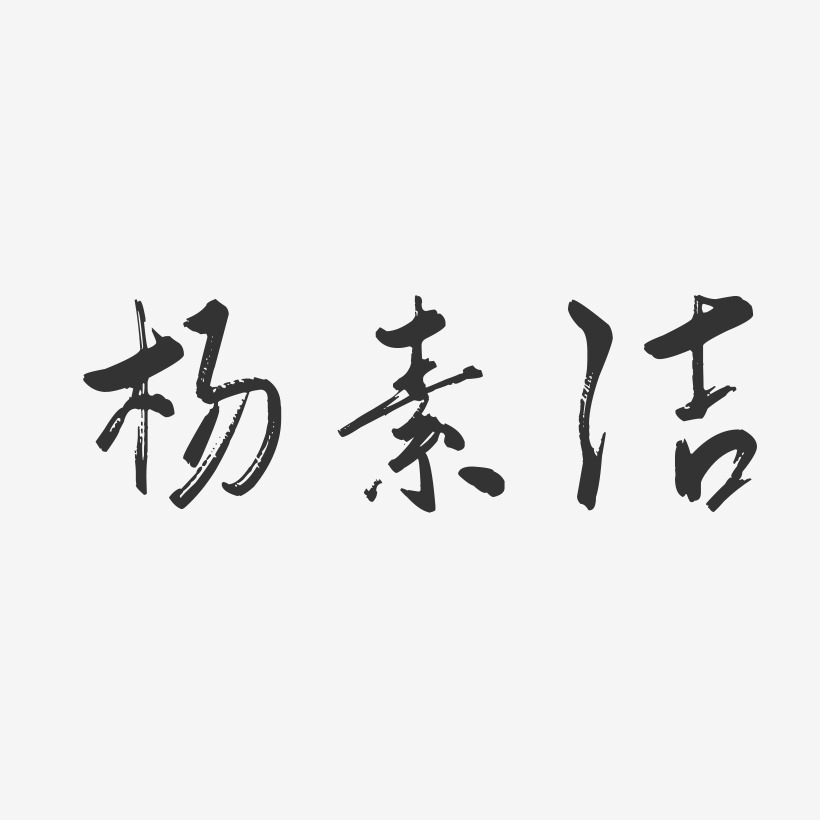 杨素洁-行云飞白字体签名设计