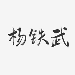 杨铁武-行云飞白字体签名设计
