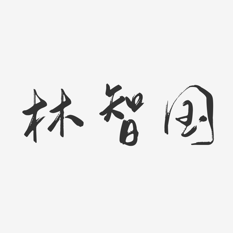 林智国-行云飞白字体签名设计