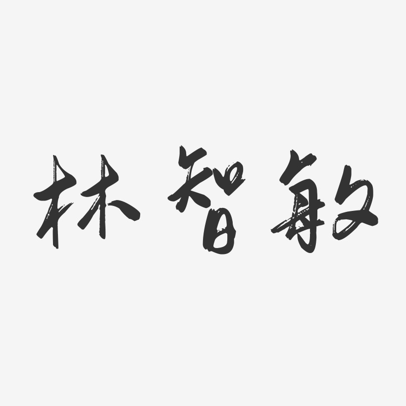 林智敏-行云飞白字体签名设计