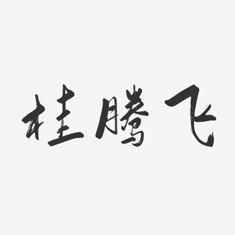 桂腾飞-行云飞白字体签名设计