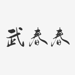 武春春-行云飞白字体签名设计