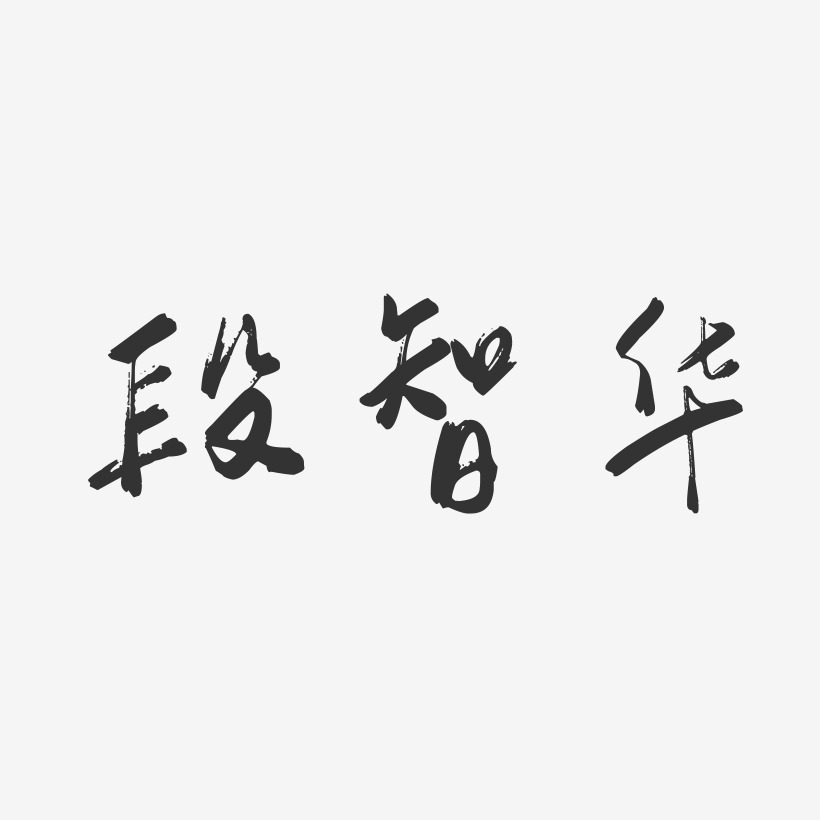 段智华-行云飞白字体签名设计