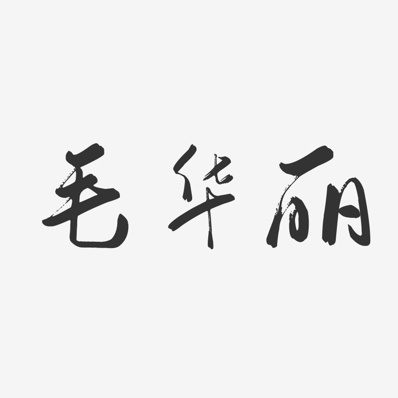 毛华丽-行云飞白字体签名设计