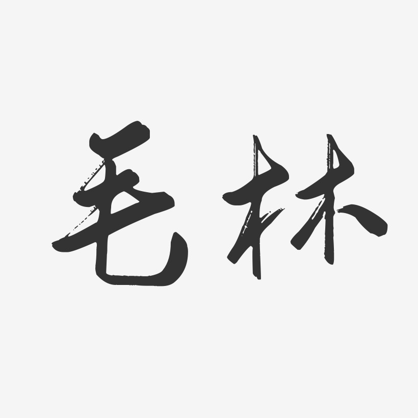 毛林-行云飞白字体签名设计