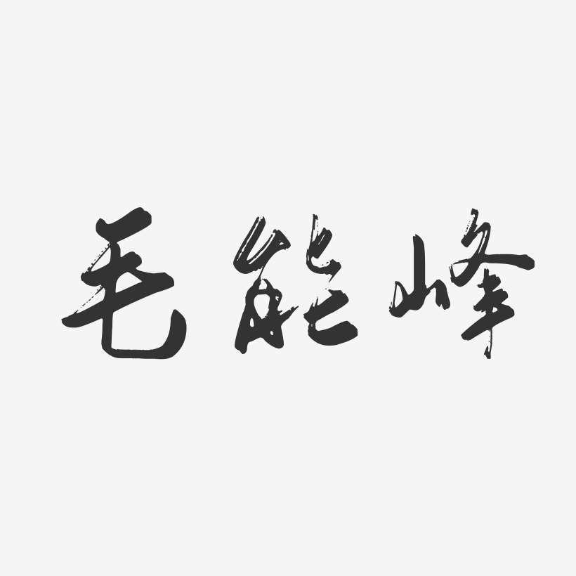 毛能峰-行云飞白字体签名设计