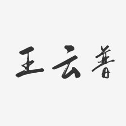 王云普-行云飞白字体签名设计