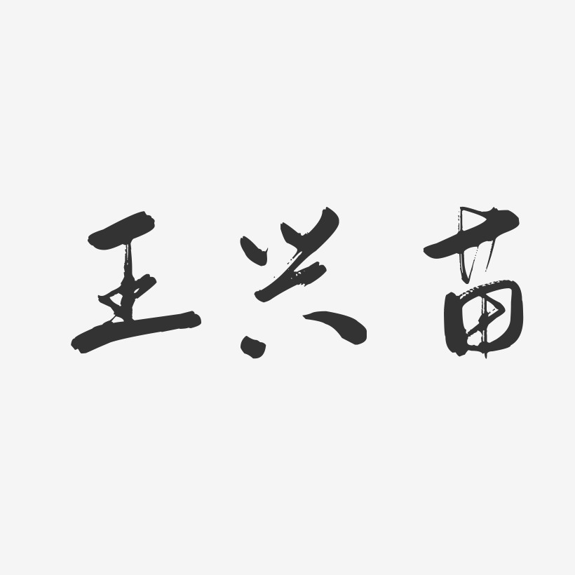 王兴苗-行云飞白字体签名设计