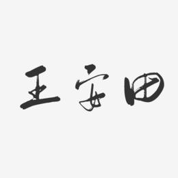 王安田-行云飞白字体签名设计